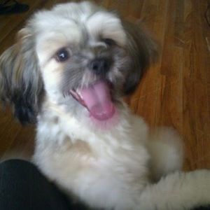 Meet your Posher, Alexandra marie